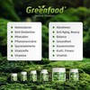 Greenfield – Ginkgo Biloba, 100% Vegan Leaf Extract 450mg, 120