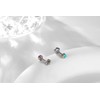Onnzin Titanium Earrings,Hypoallergenic Rose Earrings for Sensitive Ears