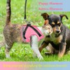 Cat Harness and Leash for Walking, Kitten Escape Proof Harnesses,