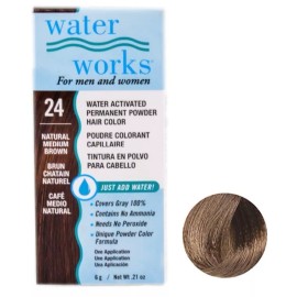 Waterworks Water Works Permanent Powder Hair Color #24 Natural Medium Brown (6 Pack)