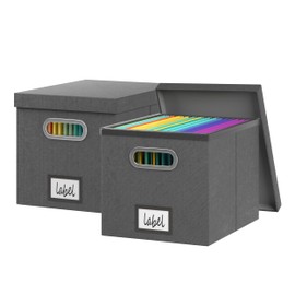 GRSQYS File Storage Box with Lid File Boxes for Hanging Decorative Hanging Folders Organizer with One-Piece Plastic Frame Slides (Dark Grey, 13.2x 10.1 x 10.1 inch（2Pack）)