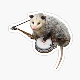 Possum Playing Banjo Sticker - Sticker Graphic - Auto, Wall, Laptop, Cell, Truck Sticker for Windows, Cars, Trucks