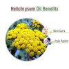 Helichrysum Oil (Helichrysum ITALICUM) 100% Pure & Natural - Undiluted
