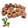 Rainmae 16 Pcs Aquatic Water Plant Fixed Rings, Water Plants