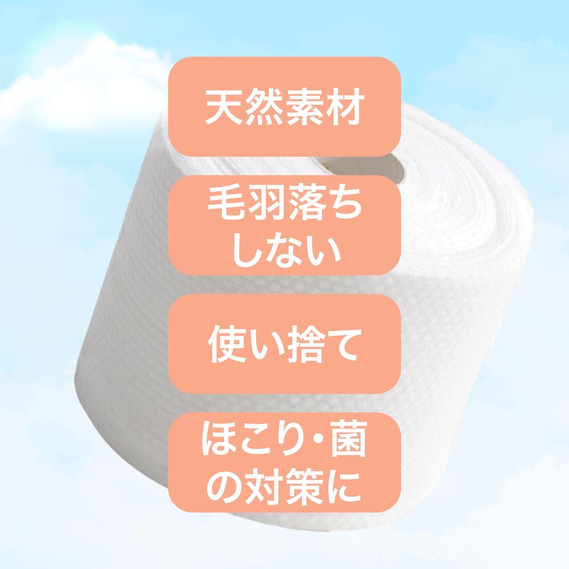 BURILLIANT SUHADA Disposable Cleansing Towel (Hygienic, For Disaster Prevention, Easy