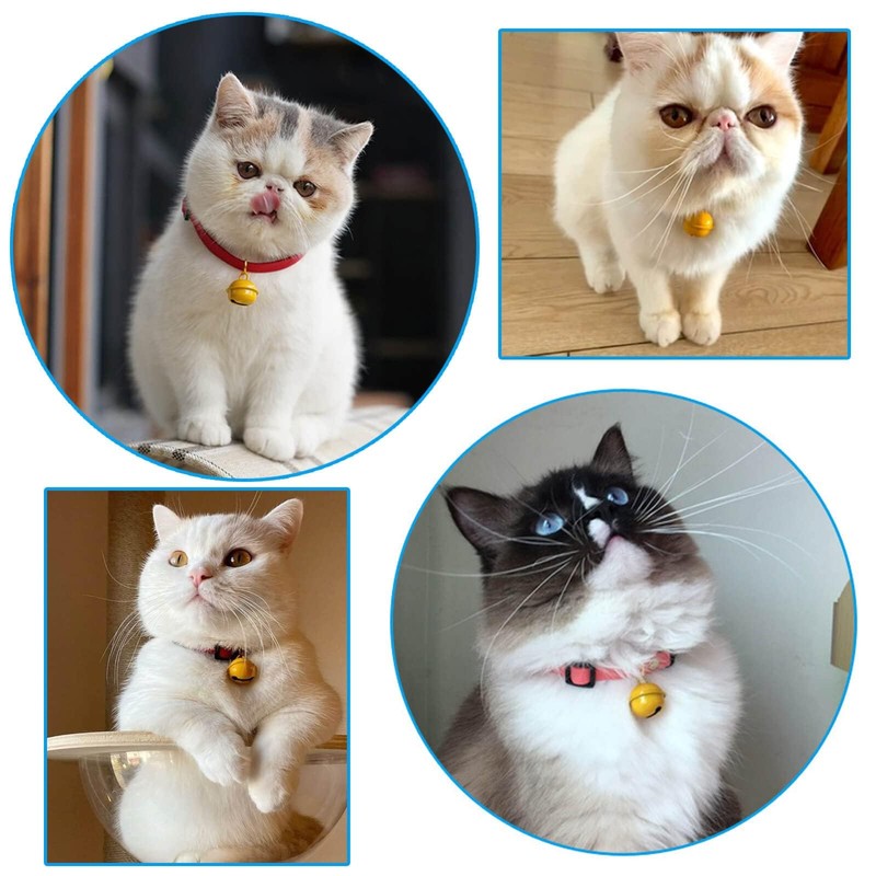 Iwamatu Cat Collar Bell, Red, Cat Collar, Includes Yellow Bell,