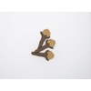 Clove Flower Buds 266-E820 Cookie Cutter Set
