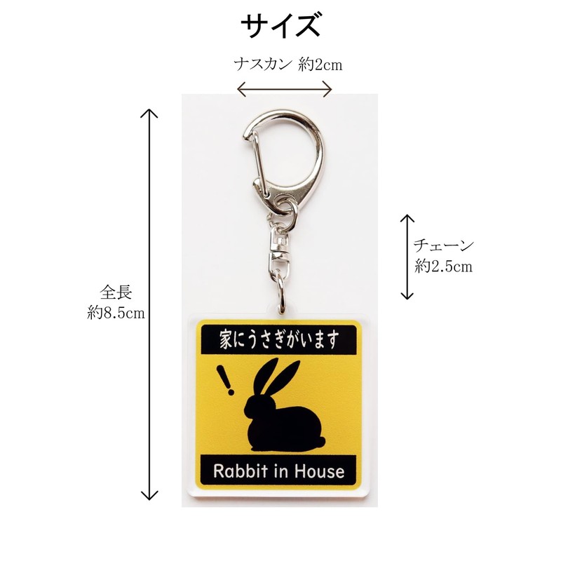 [SunAge] Rabbit in House Pictogram Funny Keychain Key Ring Acrylic