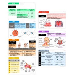 HEENT Examination 7 Cards Set Physical Examination Nursing Reference Cards for Medical Professionals Nurses, Nursing Clinicals RN Students - Great Nursing School Accessories, Badge Holder Included
