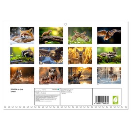 Wildlife in the forest (Monthly Wall Calendar 2026 11.7" x 16.5" (open)), CALVENDO 14 Month Calendar
