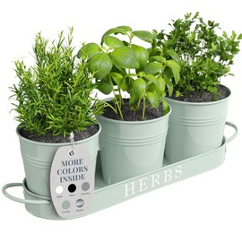 Barnyard Designs Indoor Herb Garden Planter Set with Tray, Metal Windowsill Plant Pots with Drainage for Outdoor or Indoor Plants, Set/3 (Soft Mint)