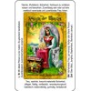 Angelina Schulze Artdesign Osorio Tarot Cards for Beginners