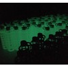 Glass Water Bottle - Glow in the Dark Purifyou® -