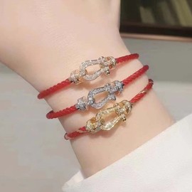 Bracelet Cord Women's Silver Horseshoe Bracelet Zirconia Horseshoe Braided Bangle Stainless Steel Hypoallergenic Men's Unisex All Season Accessory, Stainless Steel, Cubic Zirconia