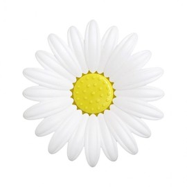 daisy soap support 4ea