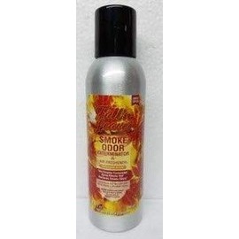Smoke Odor Exterminator 198 gm/ 7 oz Large Spray Fall N Leaves.