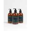 Liquid Soap 500ml 3-pack SET (Choose 1 of 2 types)