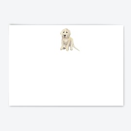 Me Loovely Golden Retriever Puppy Flat Notecard and Envelopes Sets Stationery Correspondence A6 Size Notecards Writing Supplies for Home Office & Christmas Gifts (Multipack of 40)