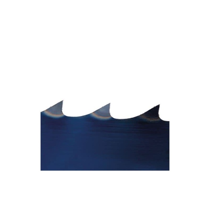 Holzstar – Saw blade 12.0 x 0.36 x 1.790 Wood