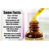 Hops Alcohol-Free Liquid Extract, Organic Hops (Humulus Lupulus) Dried Flower