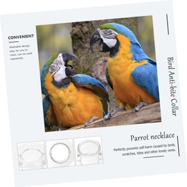 BESPORTBLE Parrot Neckband Bird Anti-bite Collar Acrylic m Size Easy Installation Prevents Feather Plucking for Cockatoos