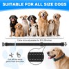 RUXAN Electric Fence for Dogs,Invisible Fence for Two Dogs,Underground Dog