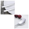 Zerdyne 12 Pieces Stainless Steel Small Dessert Spoon