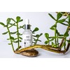 Serum Facial Anti Arrugas Acido Hialuronico Labs Valley