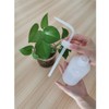 Plastic Squeeze Bottle, 250ml | 8oz Wash Bottle Chemical, LDPE,