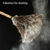 TEAMWILL 2PACKS 13" Ostrich Feather Duster Durable Dust Collecting Cleaning
