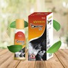 Generic King Saffron M Power Oil, 3 Pack of 15