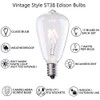 Couah Edison Light Bulbs 10-Pack Replacement ST38 Clear Bulbs -