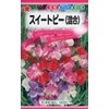 Tohok Co., Ltd. Sweet Pea 00350 Mixed Red, Peach, White,