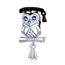 Erizteya 925 Sterling Silver Charms for Bracelets Necklaces, Graduation Bachelor Cap Dr.Owl's Hat Compass Pendant Beads, Nurse Hat Heartbeat Love Pendant Jewellery Gift for Women, Cubic Zirconia