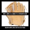 Rawlings Baseball Glove Soft Adult HOH PRO EXCEL ELITE GR5HEEB870
