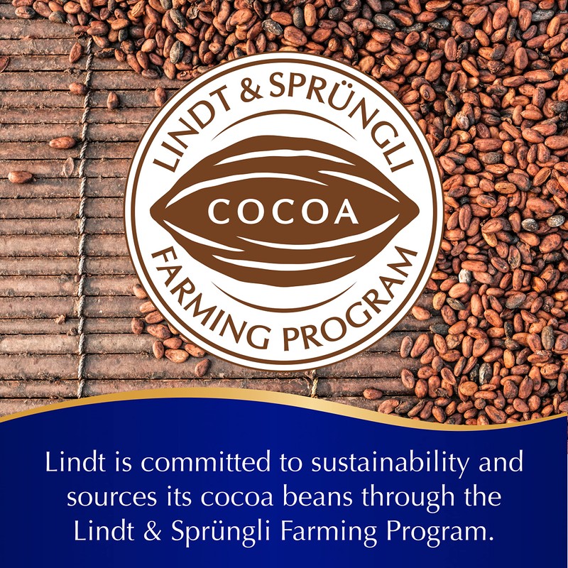 Lindt LINDOR Dark Chocolate Candy Truffles, Dark Chocolate with Smooth,