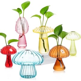 Plant Propagation Station, Set of 6 Colored Mushroom Vase, Propagation Stations, Small Plant Terrarium, Unique Crystal Mushroom Jars for Plants for Hydroponics Home Garden Office Decoration (Colorful)