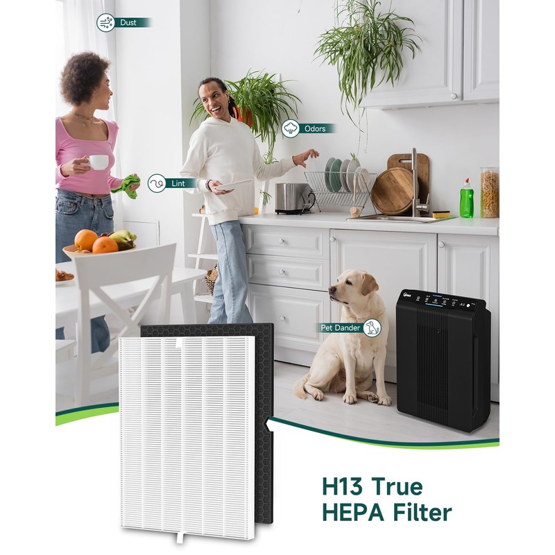 Future Way 2-Set 5500-2 Air Purifier Replacement Filter for Winix