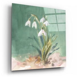 Epic Art 'Soft Dewdrops' by Danhui Nai Acrylic Glass Wall Art, 12" x 12"