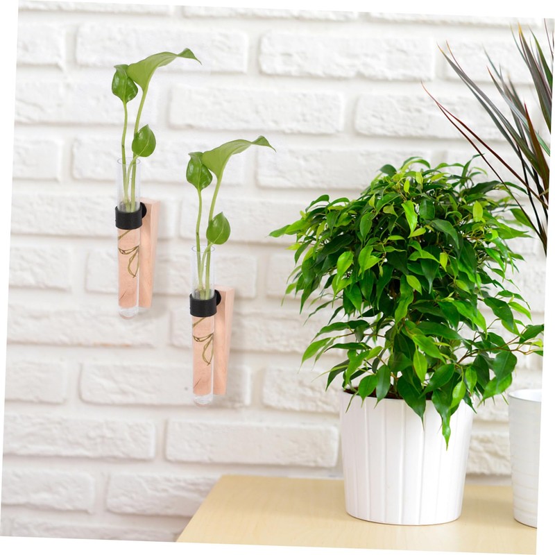 Ciieeo 2Sets Hanging Plant Propagation Containers Hydroponics Test Tubes for