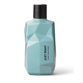 Nine Yards Just Right Moist Conditioner 300ml