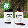 Santa Cruz Paleo - Creatina En Polvo - 400G