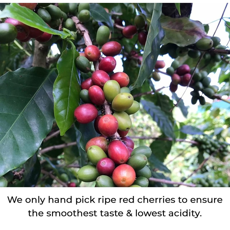 Julian Coffee - Ground Specialty Grade, Single Origin Arabica Coffee