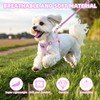 PUPTECK Dog Harness and Leash Set Small Sized, Lightweight Step-in