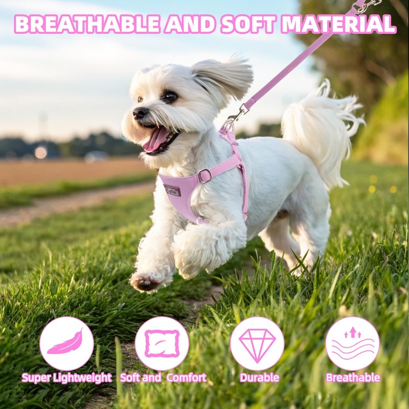 PUPTECK Dog Harness and Leash Set Small Sized, Lightweight Step-in