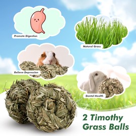 Natural Timothy Grass Chew Toys for Small Animals - Perfect for Rabbits, Guinea Pigs, Hamsters, Chinchillas, Rats and Gerbils - 12-Piece Set Handmade Play Balls for Teeth and Enrichment Treats