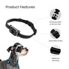 Zingaro GPS Tracker for Dogs – No Subscription – Waterproof,