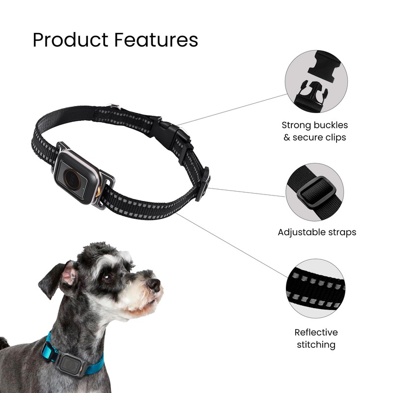 Zingaro GPS Tracker for Dogs – No Subscription – Waterproof,