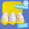 TOMY Toomies Hide & Squeak Eggs Toddler Toys - Matching