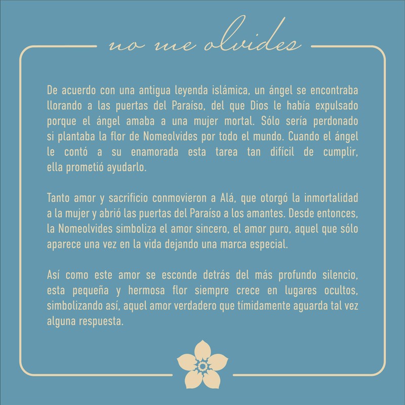 TAMI Aretes de plata con flores azules nomeolvides, Pendientes de